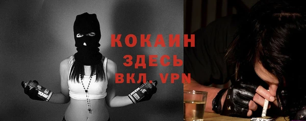 крисы Алзамай