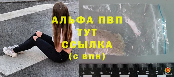 крисы Алзамай