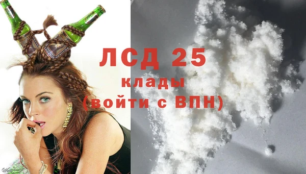 крисы Алзамай