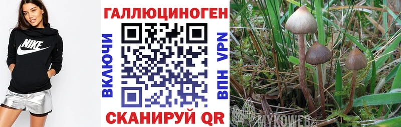 Галлюциногенные грибы ЛСД  купить  цена  Динская 